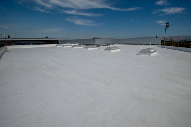 Best Roof Coating and Sealing  in Blue Ridge, VA
