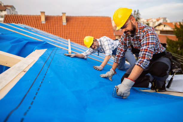 Best Roof Leak Repair  in Blue Ridge, VA