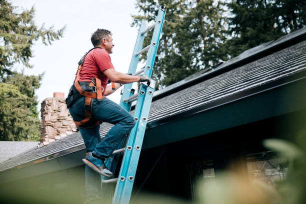 Best Gutter Installation and Repair  in Blue Ridge, VA
